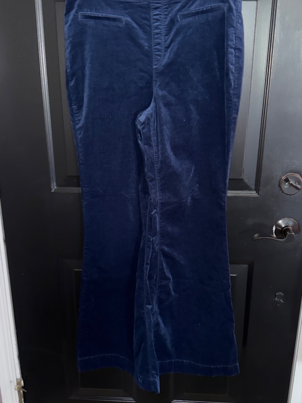 Pilcro Navy Blue Velvet wide leg flare  Cut Pants